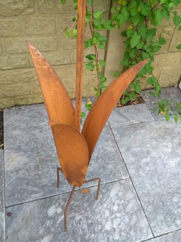 Tuinsteker Delpinium 3D Large  Roestijzer