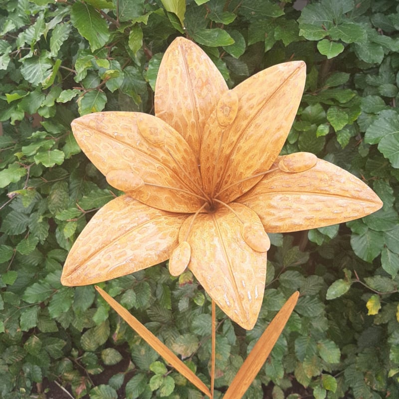 Tuinsteker lelie roestijzer