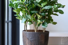 Pottery Pots Oyster Bernd L ( D53cm) Brown