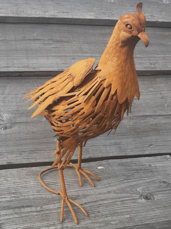 Fazant Roestijzer