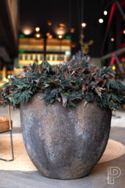 Pottery Pots Oyster Jesslyn L Brown (D70cm)