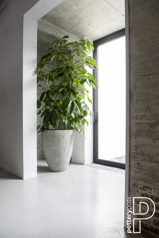 Pottery Pots Oyster Bernd M ( D42.5) White/ Grey