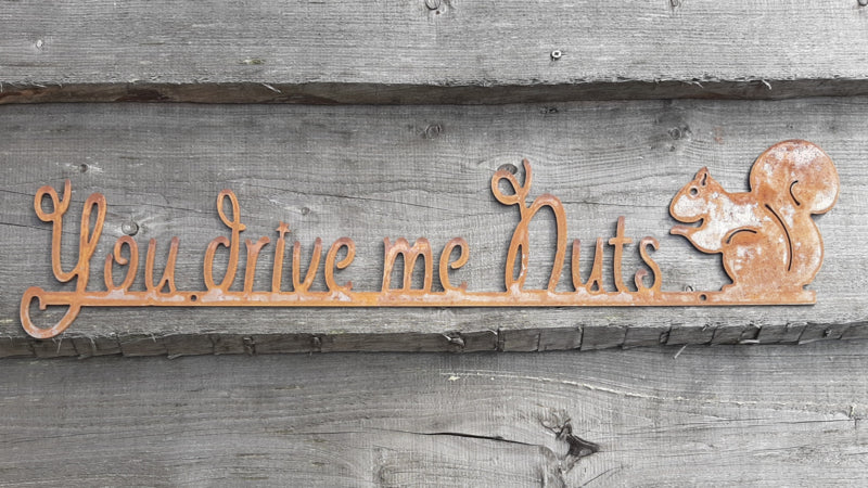 Roestijzer wandtekst you drive me nuts