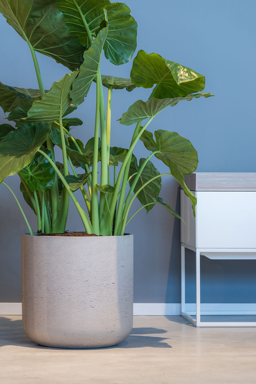 Pottery Pots Rough Charlie XXL Black washed