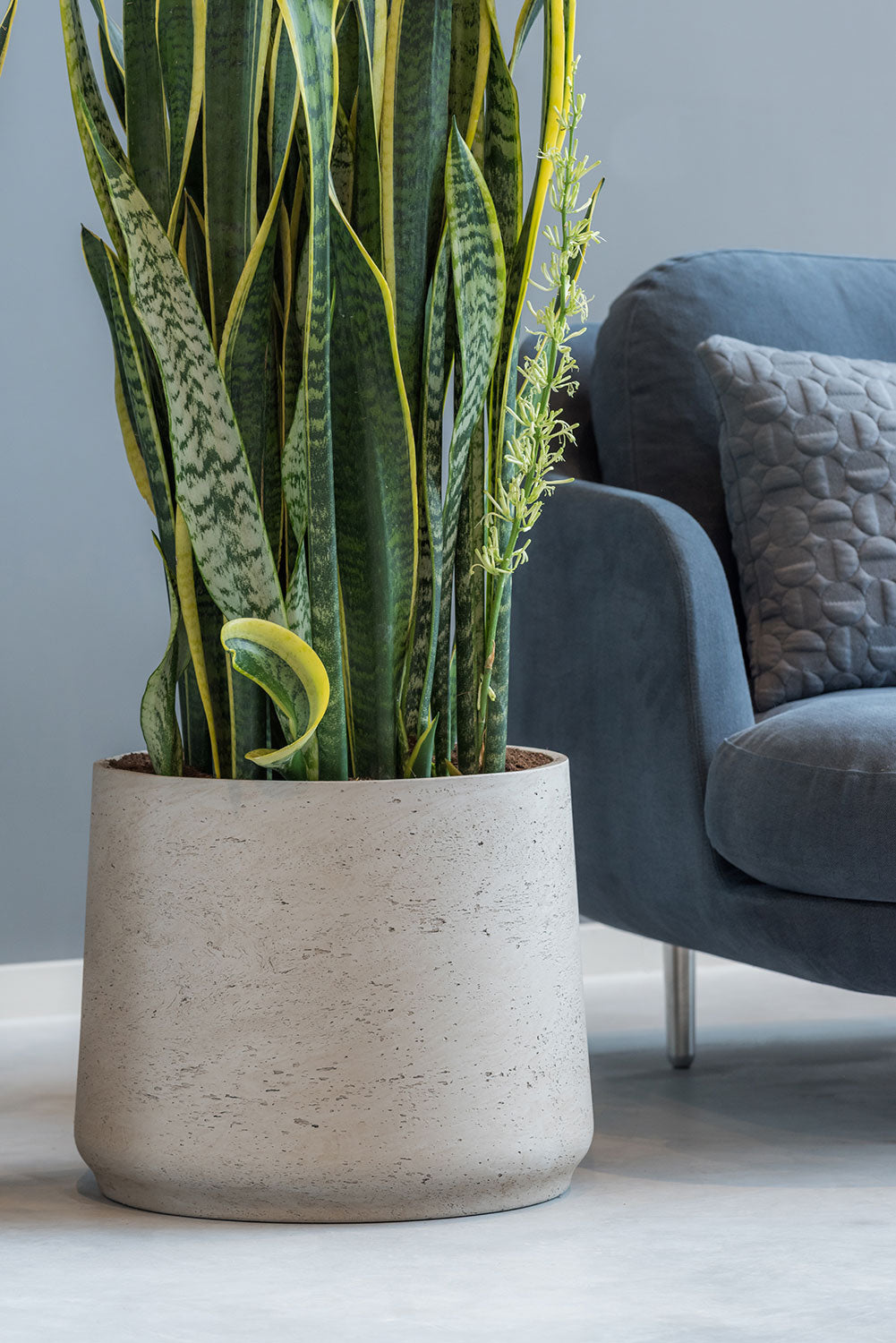 Pottery Pots Patt XXXL Grey levering medio Juli reserveren mogelijk