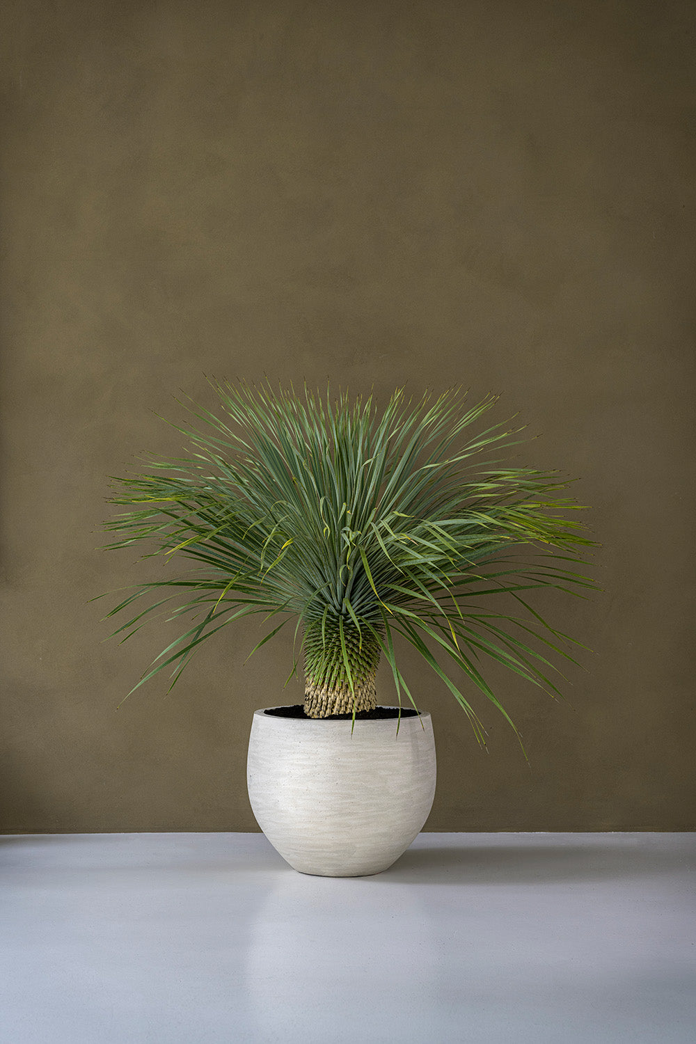 Pottery Pots Jumbo Orb S Beige washed