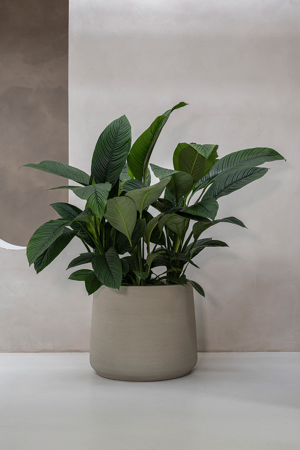 Pottery Pots Jumbo Patt XXS beige washed ( vanaf medio eind mei weer binnen reserveren is mogelijk)