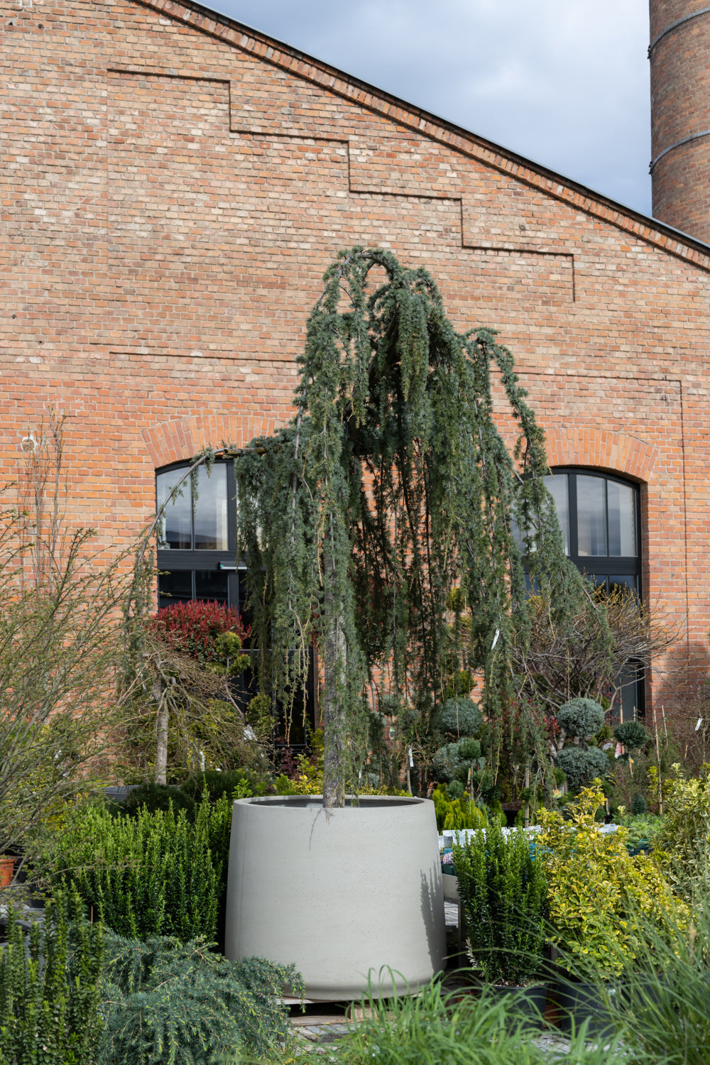 Pottery Pots Jumbo Patt XXS Ivory Washed