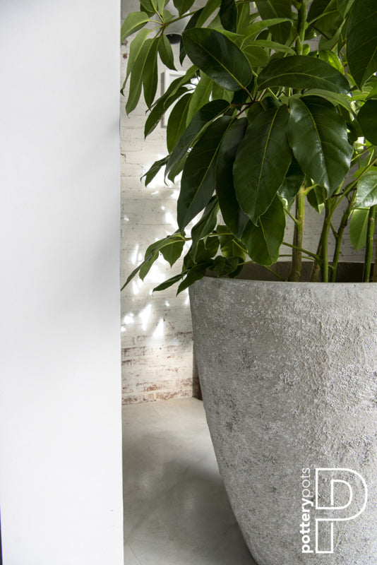 Pottery Pots Oyster Bernd M ( D42.5) White/ Grey
