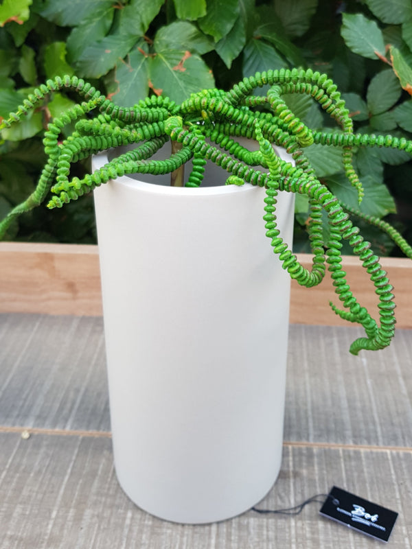 Bob Two in one t -light vase (mole / inside black)