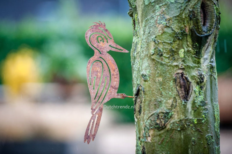 Schroefspecht comic roestijzer