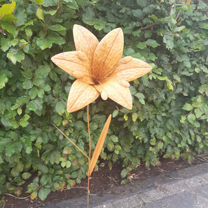 Tuinsteker lelie roestijzer