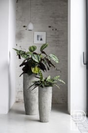 Pottery Pots Oyster Dax XXl (D46) White / Grey