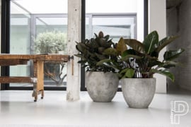Pottery Pots Oyster Jesslyn XL White / Grey (D80cm)