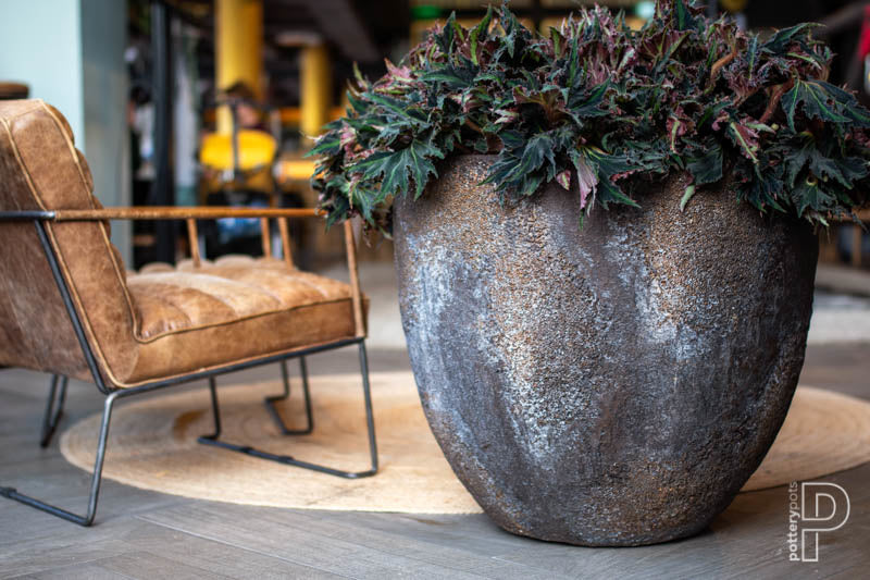 Pottery Pots Oyster Jesslyn XL Brown (D80cm)