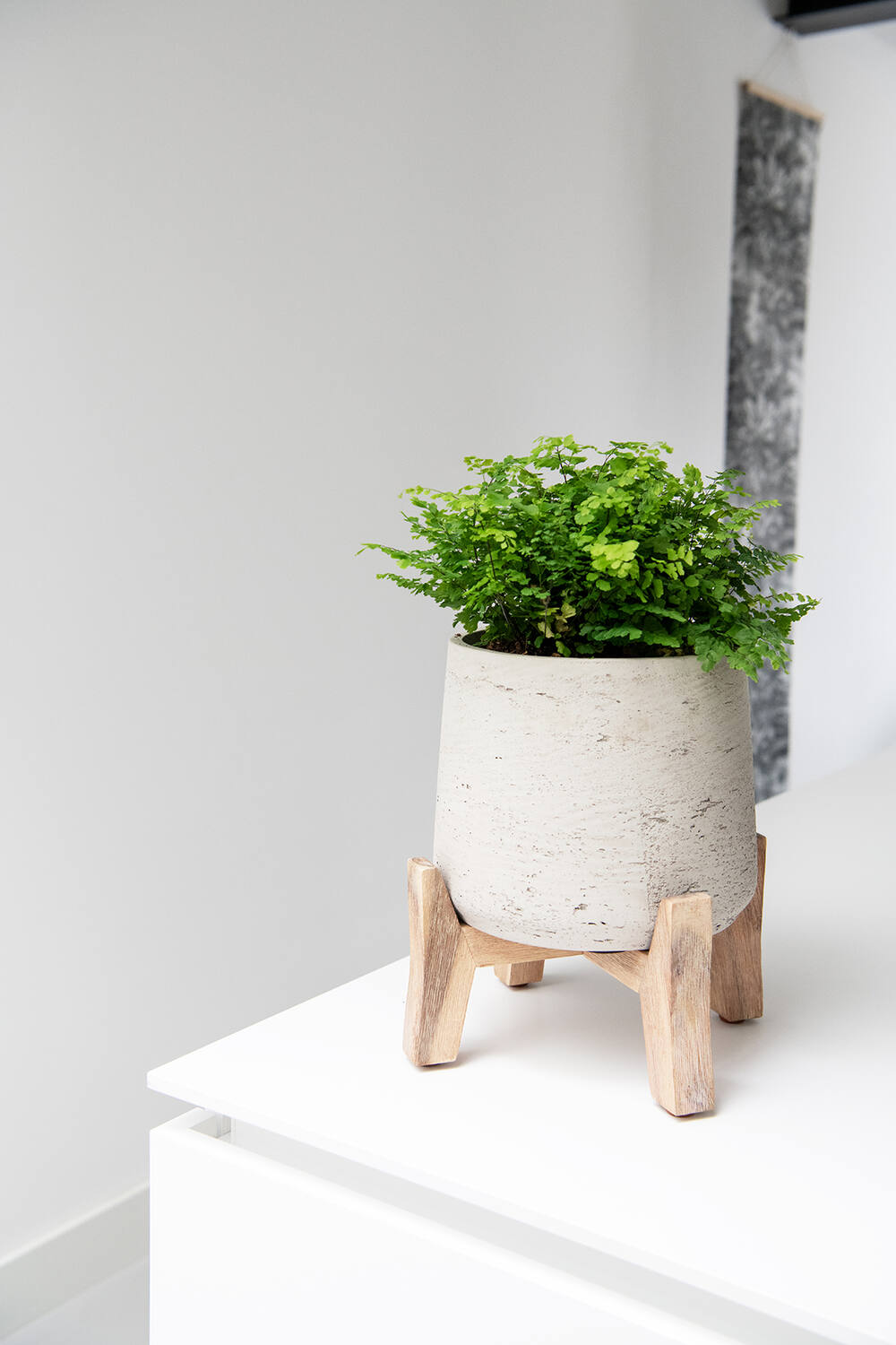 Lage grijze plantenpot op korte pootjes van Pottery Pots, model Patt XL – gemaakt van fiberclay, geschikt voor binnen en buiten, met robuuste gewassen afwerking.