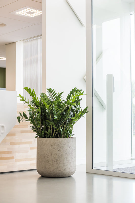 Pottery Pots Jumbo Charlie XS beige washed (Komt medio mei binnen reserveren mogelijk)