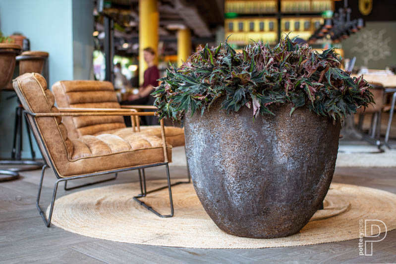 Pottery Pots Oyster Collectie