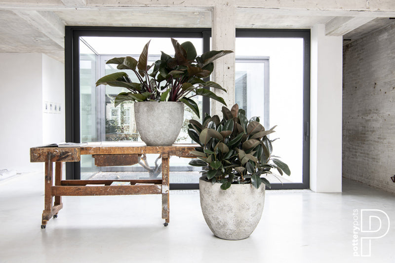 Pottery Pots Oyster Jesslyn S  White / Grey (D50cm)