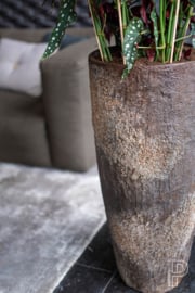 Pottery Pots Oyster Dax  imperial Brown XXl (D46)