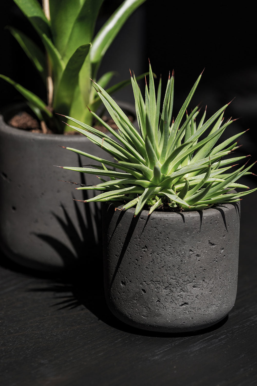 Pottery Pots Rough Charlie XL Black washed