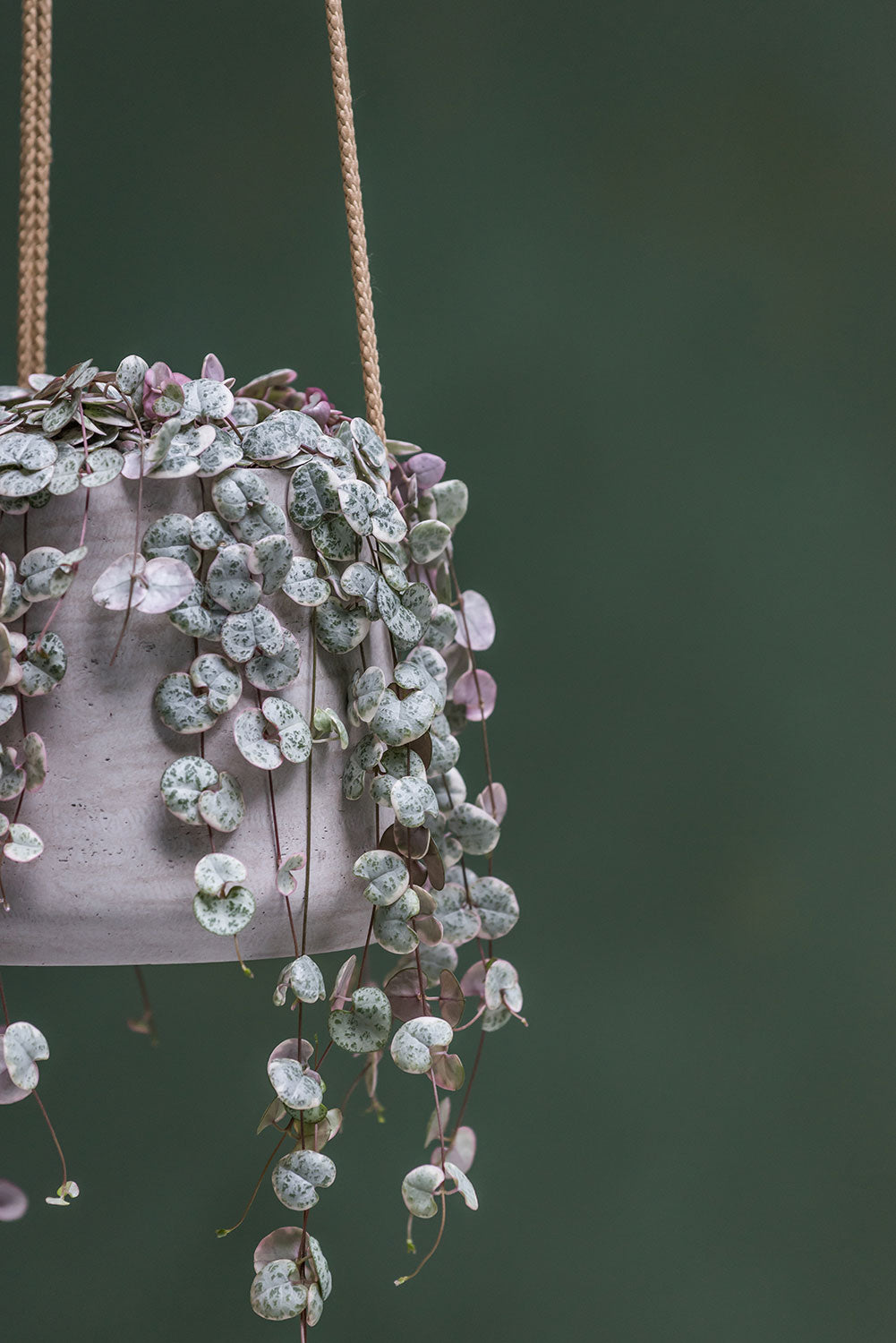 Pottery Pots Patt L ( Hanging) Grey washed